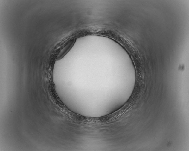 X0000096201349200802151516