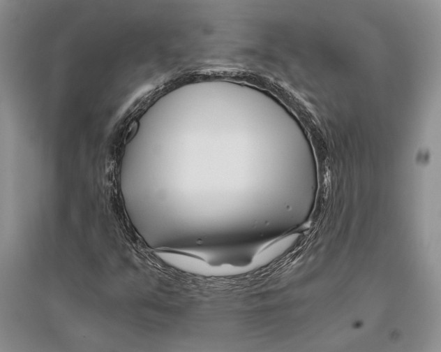 X0000096201351200802151516