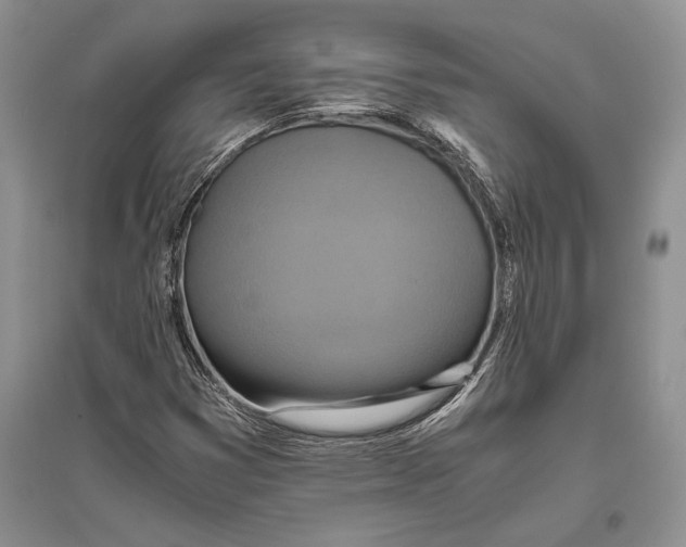 X0000096201353200802151516