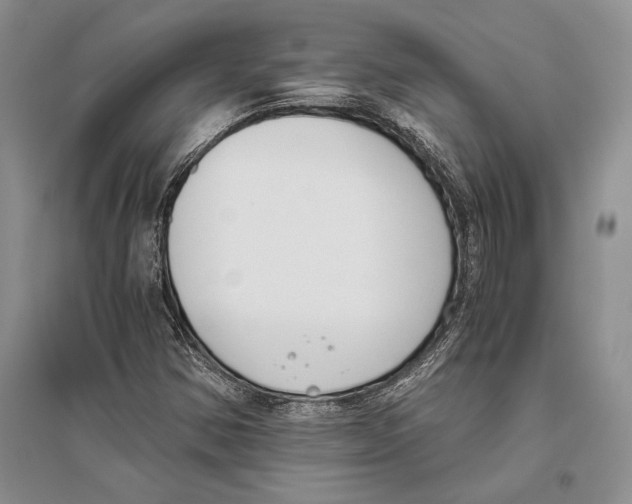 X0000096201354200802151516