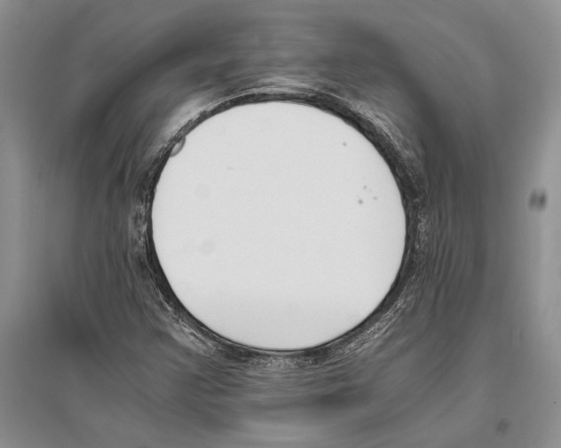 X0000096201355200802151516