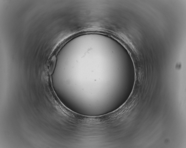 X0000096201356200802151516