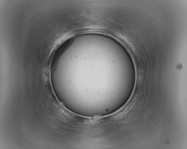 X0000096201357200802151516