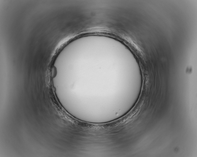 X0000096201358200802151516