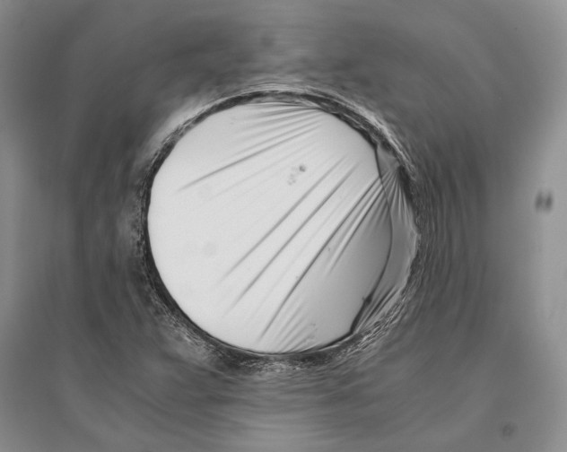 X0000096201359200802151516