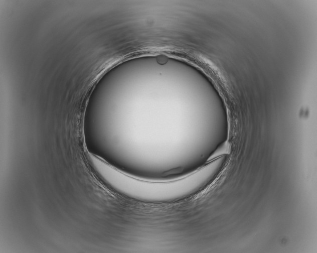 X0000096201361200802151516