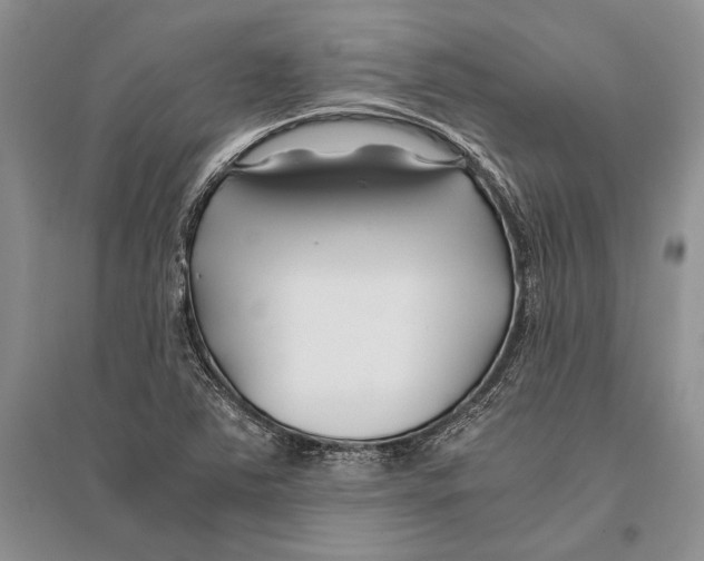 X0000096201363200802151516