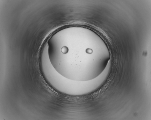 X0000096201364200802151516