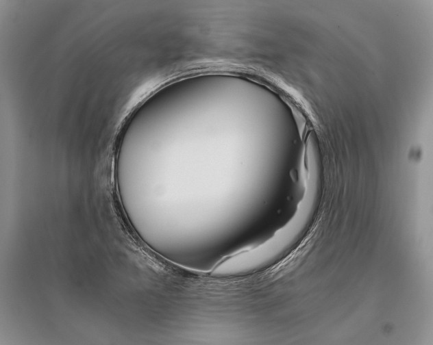 X0000096201365200802151516