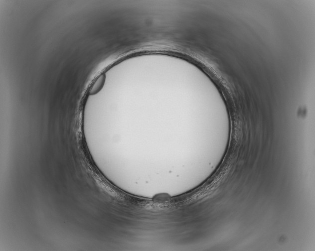 X0000096201366200802151516