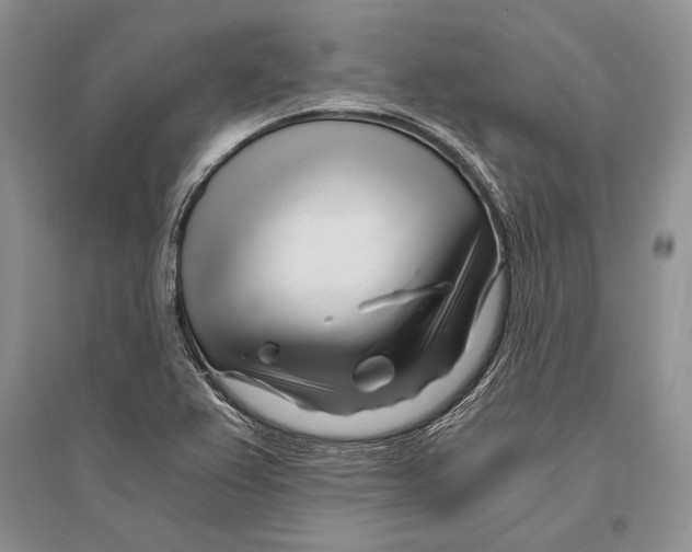 X0000096201367200802151516