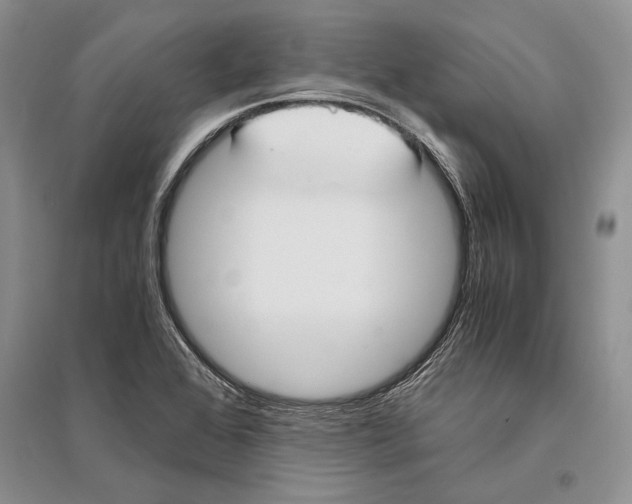 X0000096201368200802151516