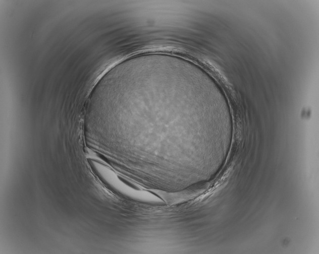 X0000096201369200802151516