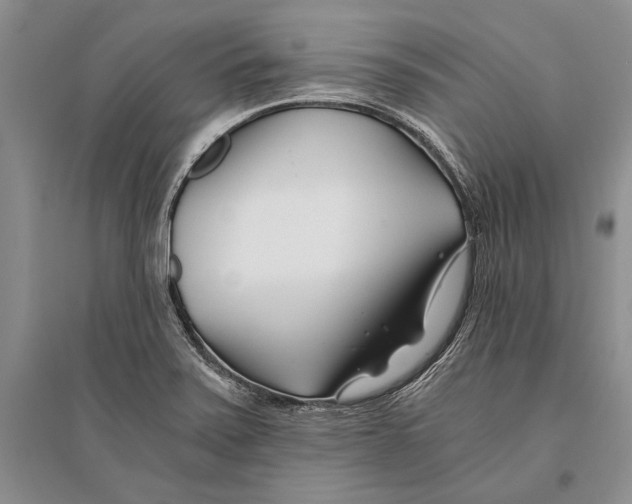 X0000096201371200802151516