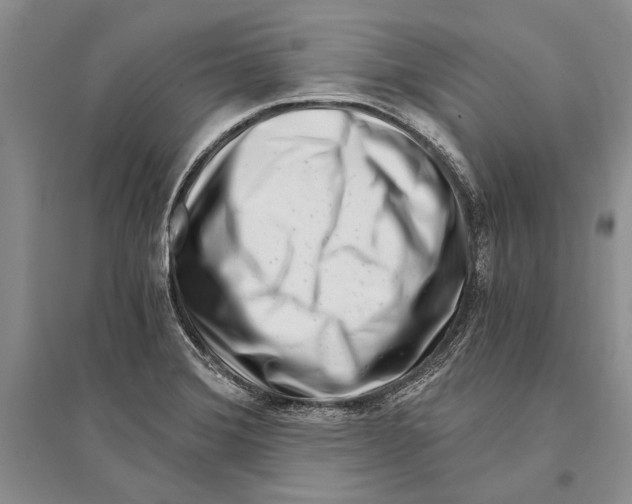 X0000096201372200802151516