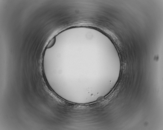 X0000096201374200802151516