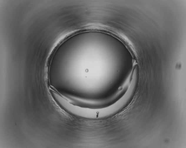 X0000096201376200802151516