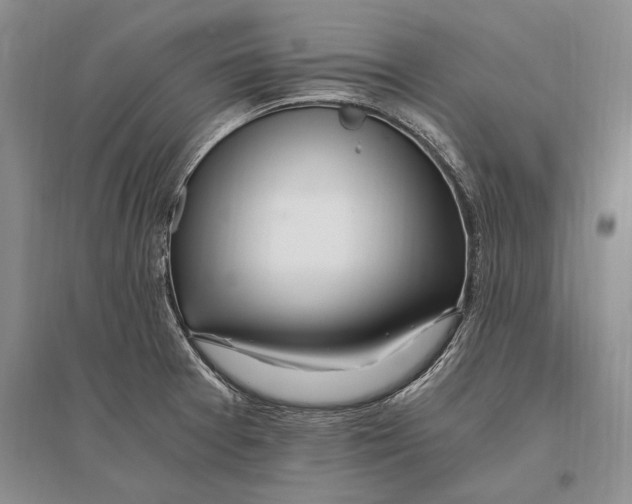 X0000096201377200802151515