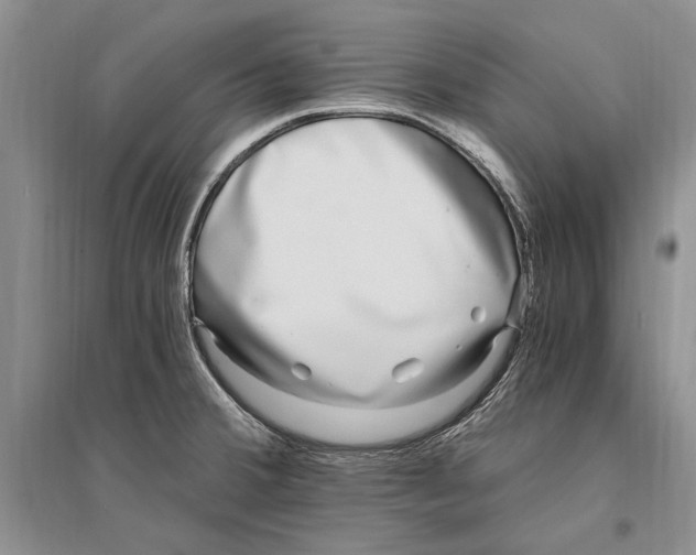 X0000096201380200802151515