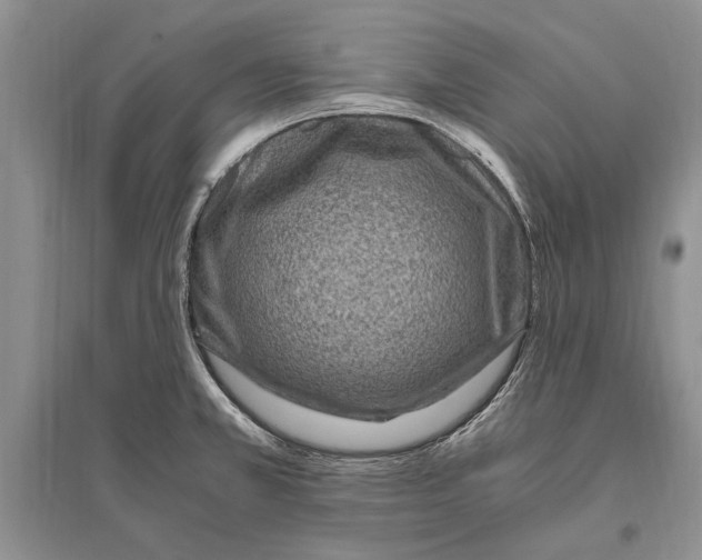 X0000096201381200802151515