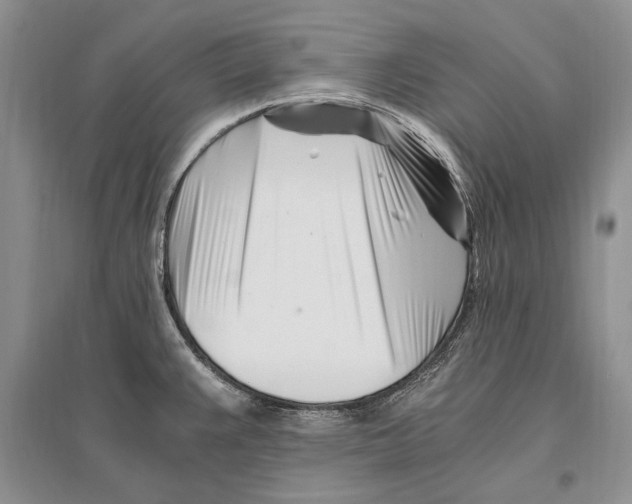 X0000096201383200802151515