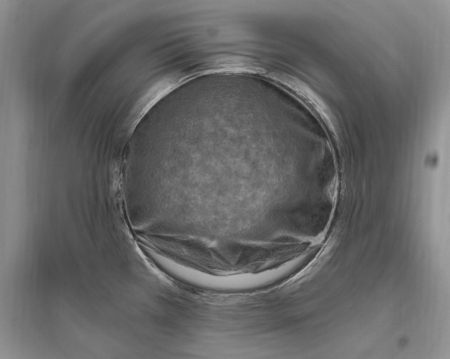 X0000096201385200802151515