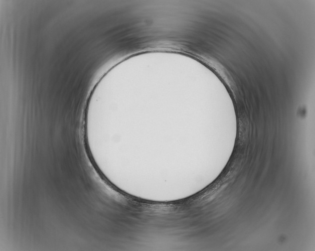 X0000096201387200802151515