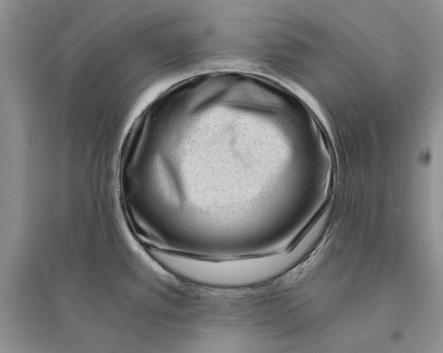 X0000096201389200802151515