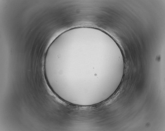 X0000096201390200802151515