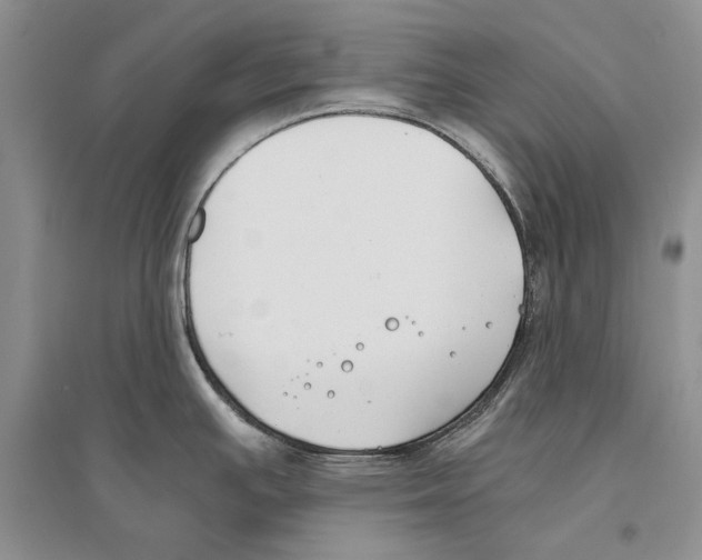 X0000096201391200802151515