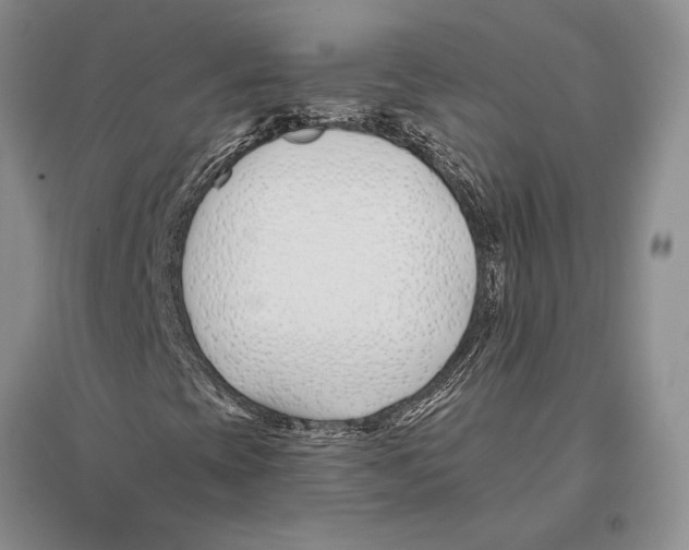 X0000096201393200802151515