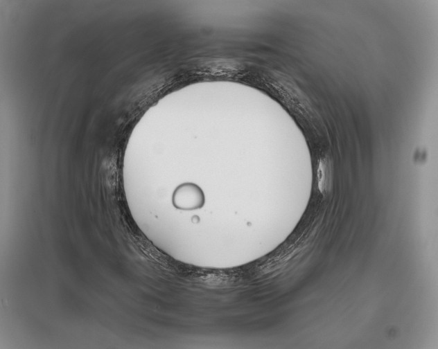 X0000096201395200802151515