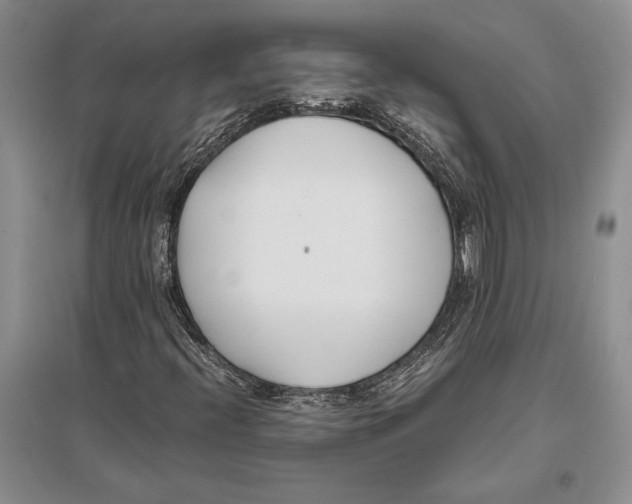 X0000096201396200802151515