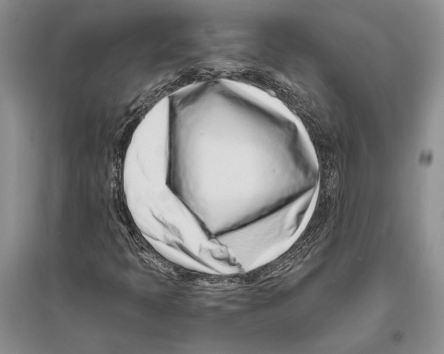 X0000096201397200802151515