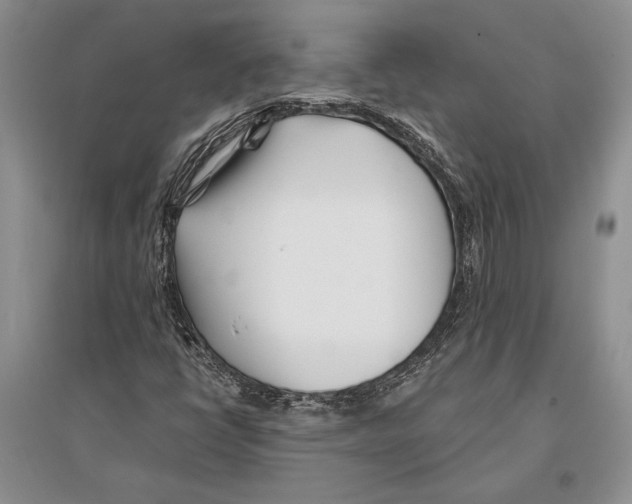 X0000096201398200802151515