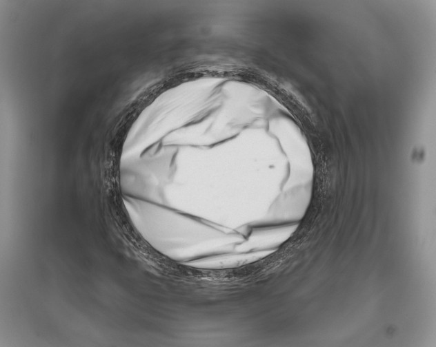 X0000096201399200802151515