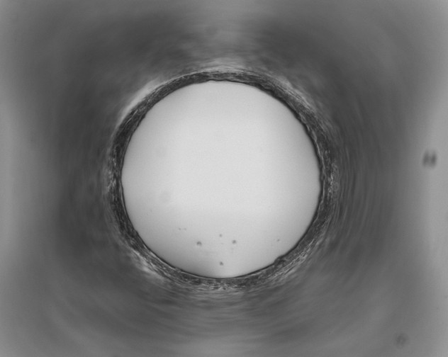 X0000096201400200802151515