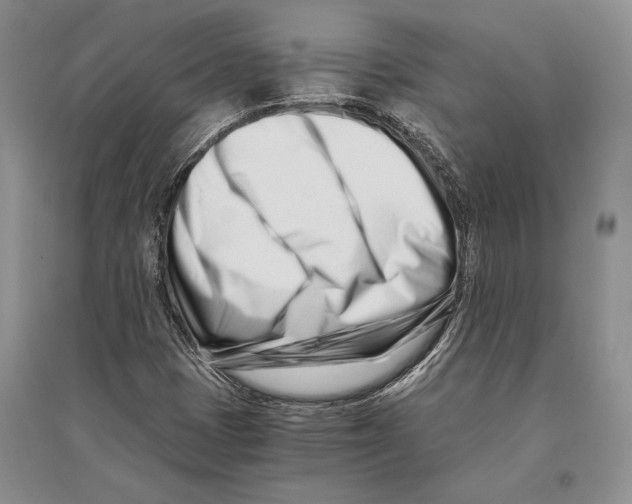 X0000096201401200802151515