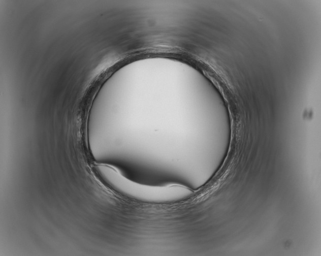 X0000096201402200802151515