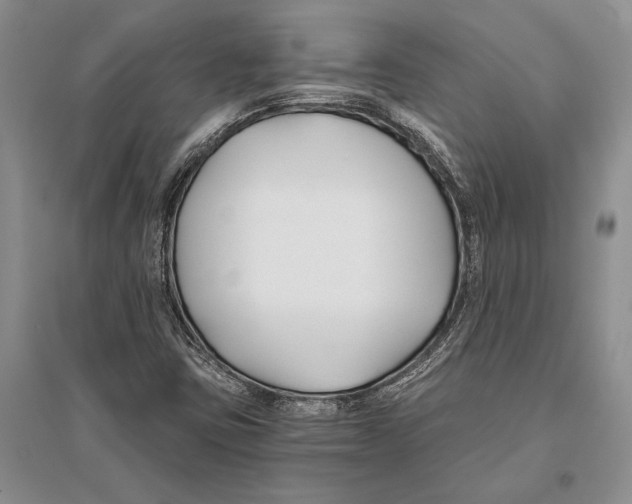 X0000096201403200802151515