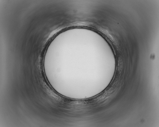 X0000096201404200802151515