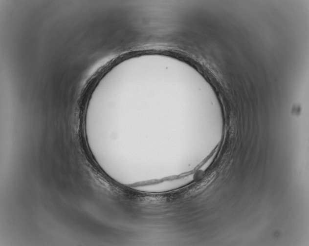 X0000096201406200802151515