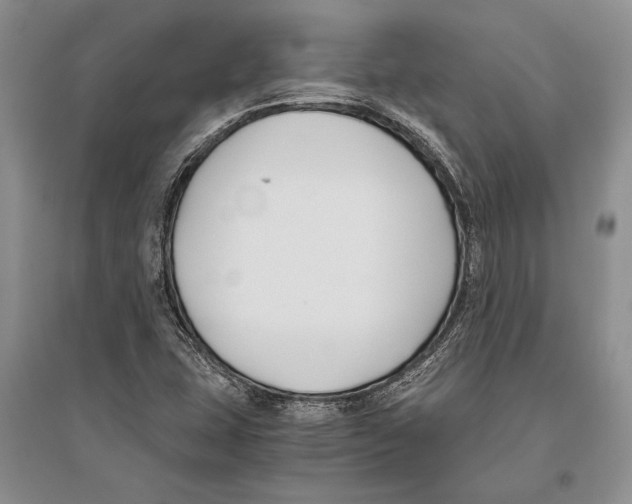 X0000096201407200802151515