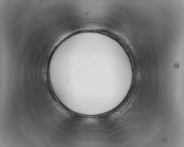 X0000096201409200802151515