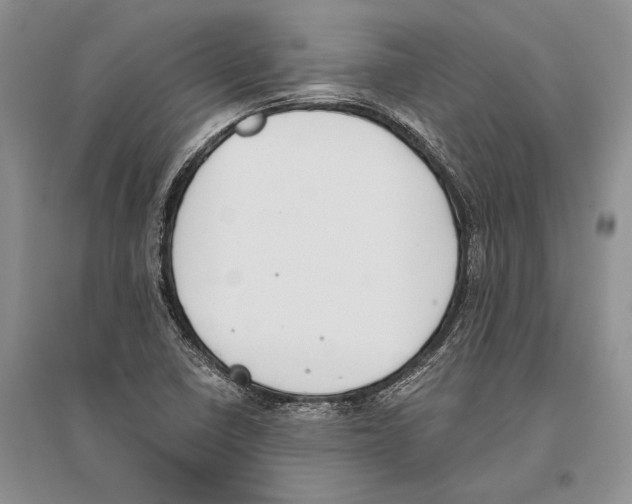 X0000096201410200802151515