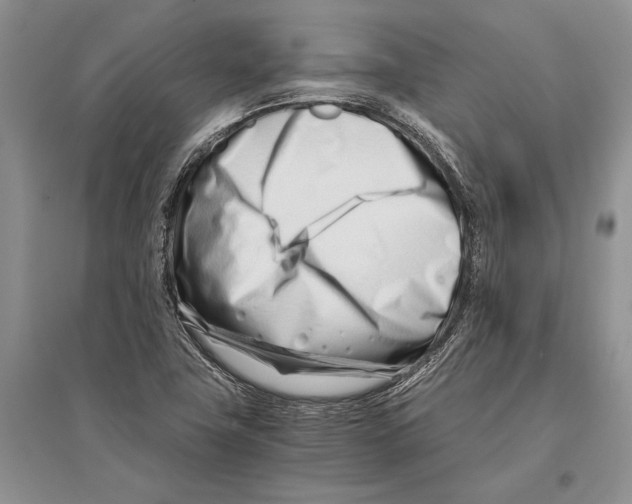 X0000096201411200802151515