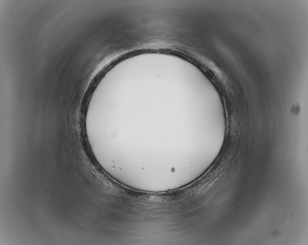 X0000096201412200802151515