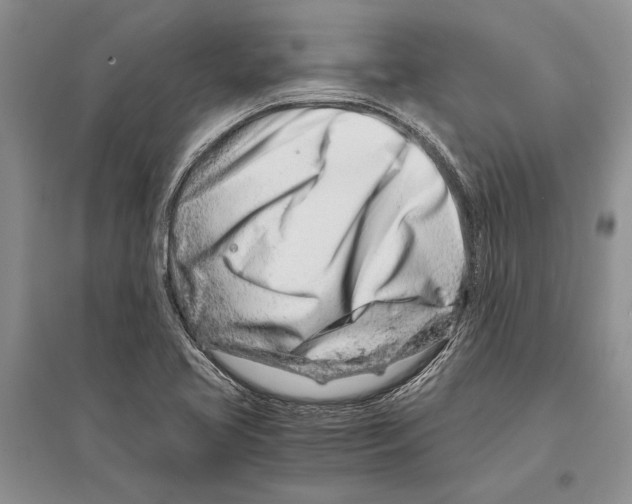 X0000096201413200802151515