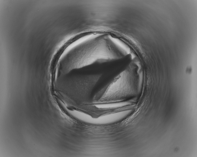 X0000096201414200802151515