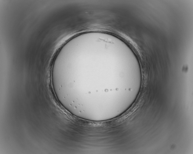 X0000096201415200802151515